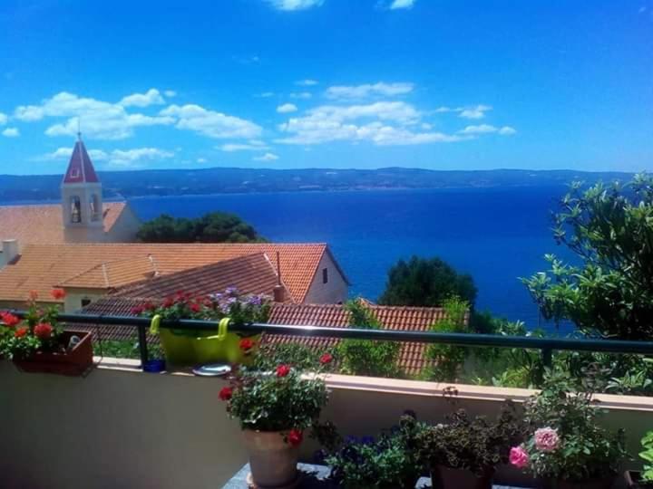 Judita Omiš Esterno foto